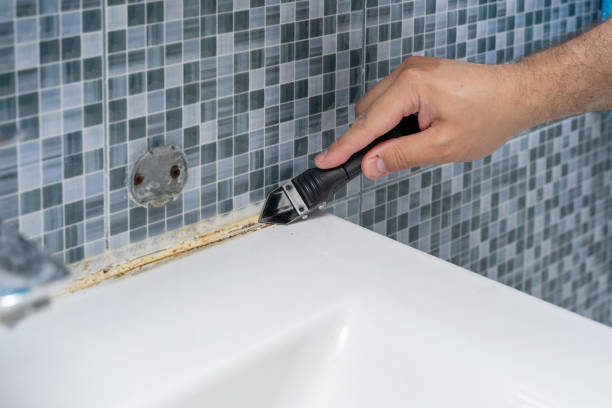 Best Office Mold Removal Services  in Rochester Institute Of Technology, NY