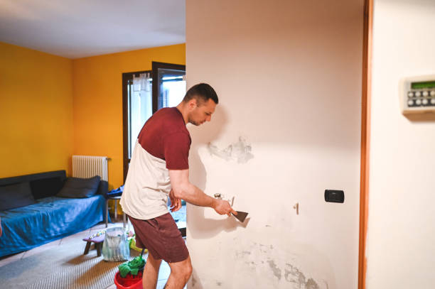 Professional Mold Removal in Rochester Institute Of Technology, NY