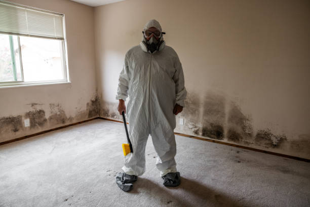 Certified Mold Removal in Rochester Institute Of Technology, NY