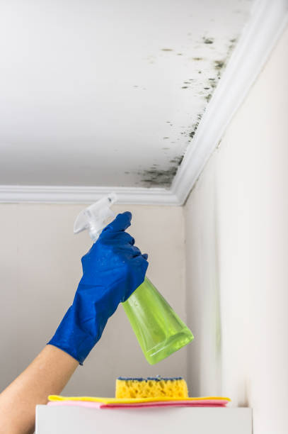 Crawl Space Mold Removal in Rochester Institute Of Technology, NY